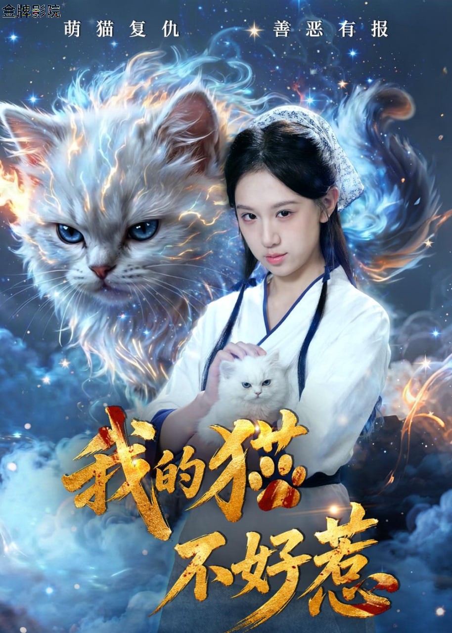 我的猫不好惹