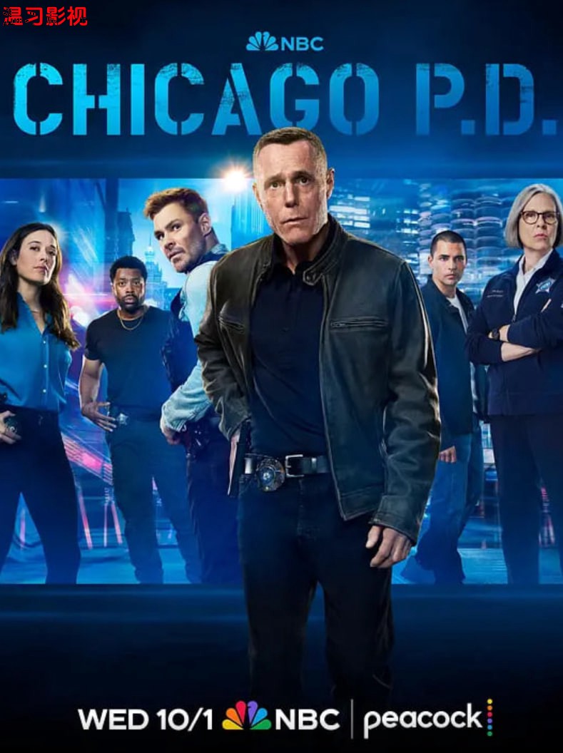 芝加哥警署 第十三季