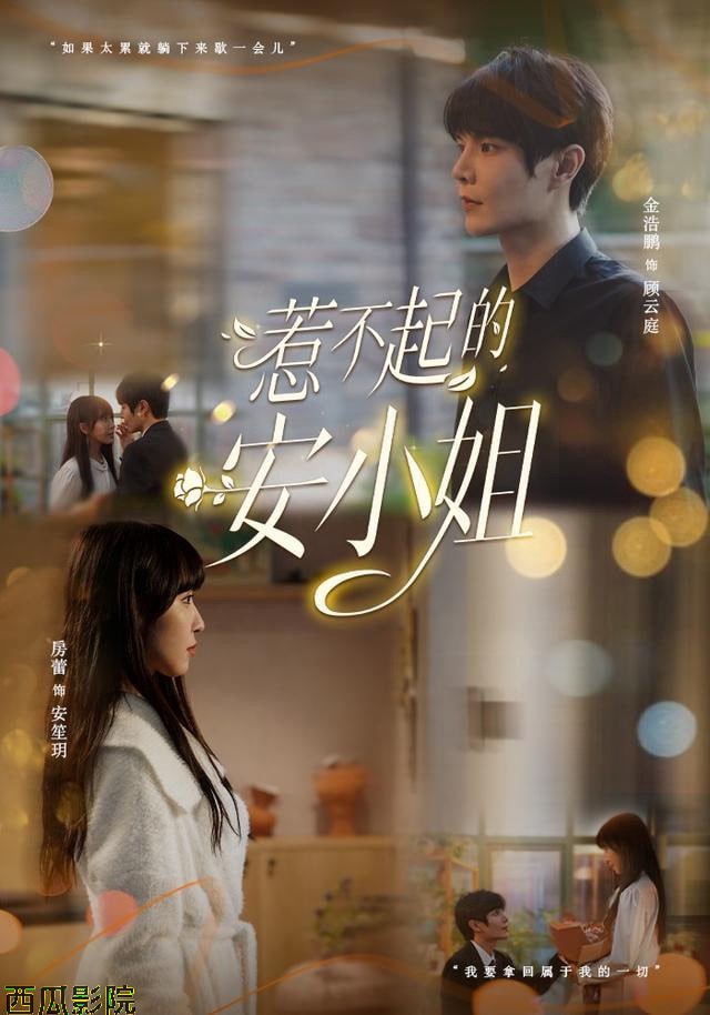 惹不起的安小姐